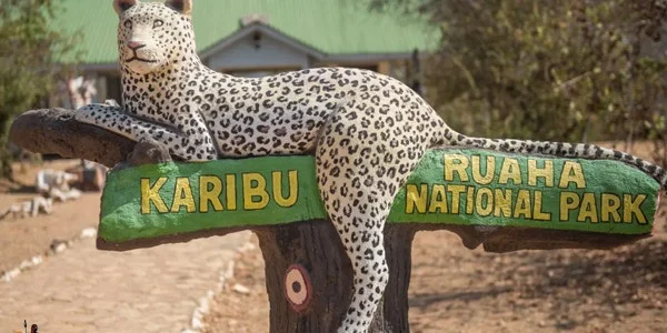 Complete Ruaha National Park Guide