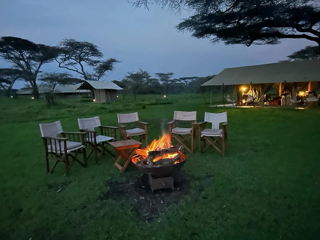 Best Tanzania Safari for First-Time Visitors