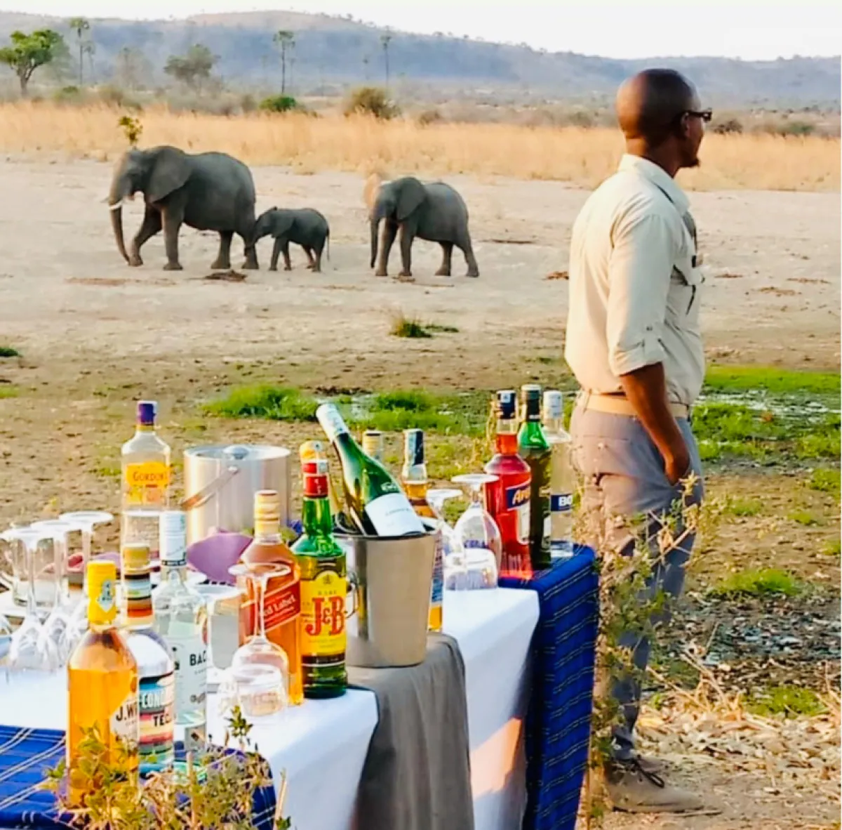 Budget Tanzania Safari