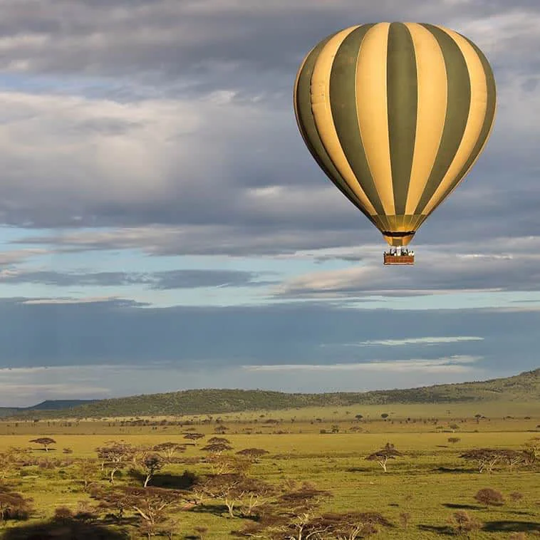 Serengeti Balloon Safari